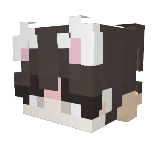 grafvanducks Minecraft avatar head, 3D render
