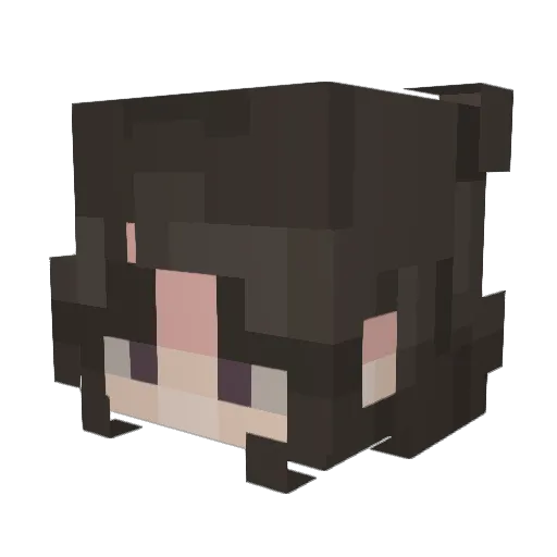 grallovaaa Minecraft avatar head, 3D render