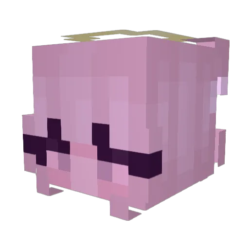 grandpacore Minecraft avatar head, 3D render