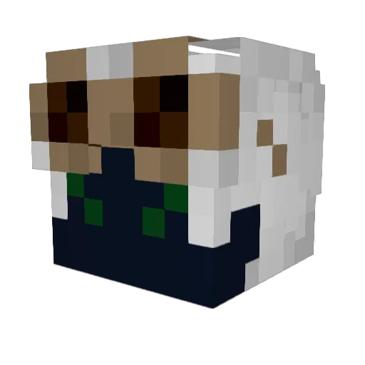 grannypops66 Minecraft avatar head, 3D render