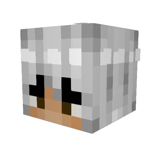 granolahoney Minecraft avatar head, 3D render