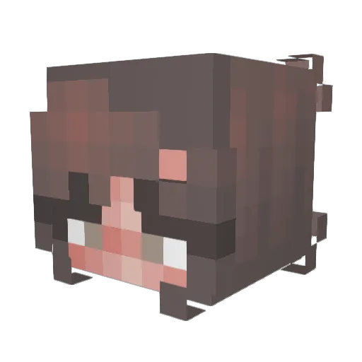 granolanugget Minecraft avatar head, 3D render