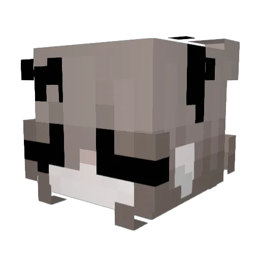 grapesodapop Minecraft avatar head, 3D render