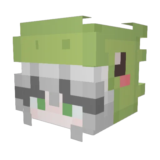 grasior Minecraft avatar head, 3D render