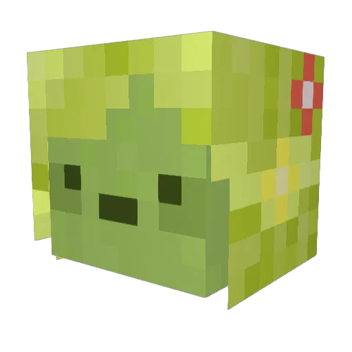grassfern Minecraft avatar head, 3D render
