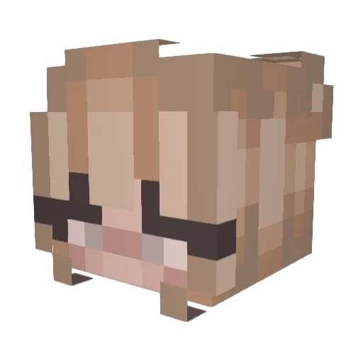 grassss_ Minecraft avatar head, 3D render