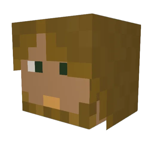 grauerkoala Minecraft avatar head, 3D render