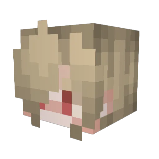 gravekeeperr Minecraft avatar head, 3D render