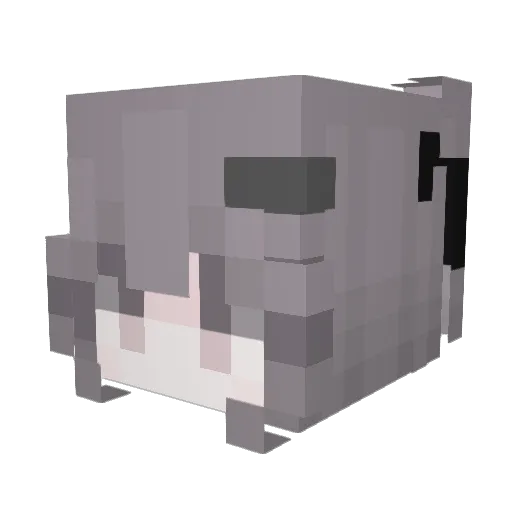 gravemail Minecraft avatar head, 3D render
