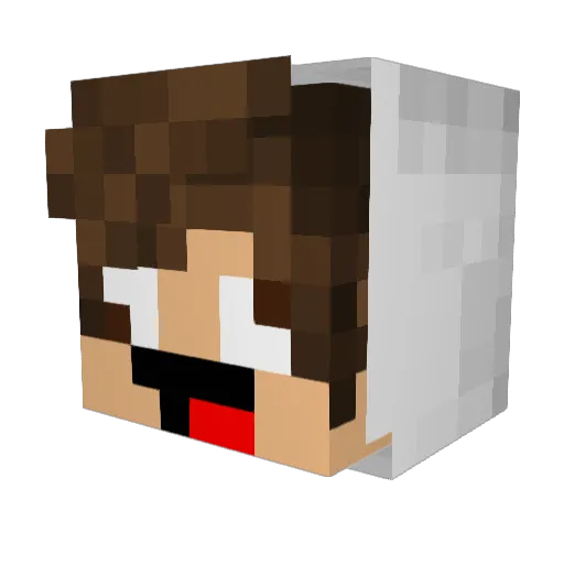 graves11 Minecraft avatar head, 3D render