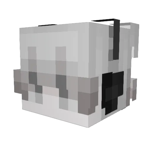 gravestcne Minecraft avatar head, 3D render