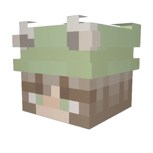 graveyardway Minecraft avatar head, 3D render