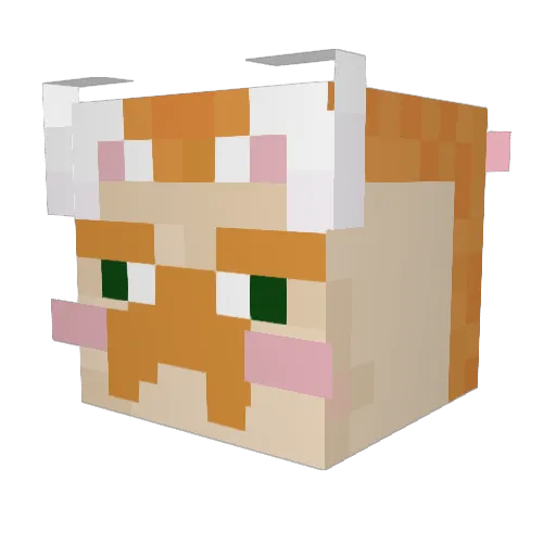 gravywavyy Minecraft avatar head, 3D render