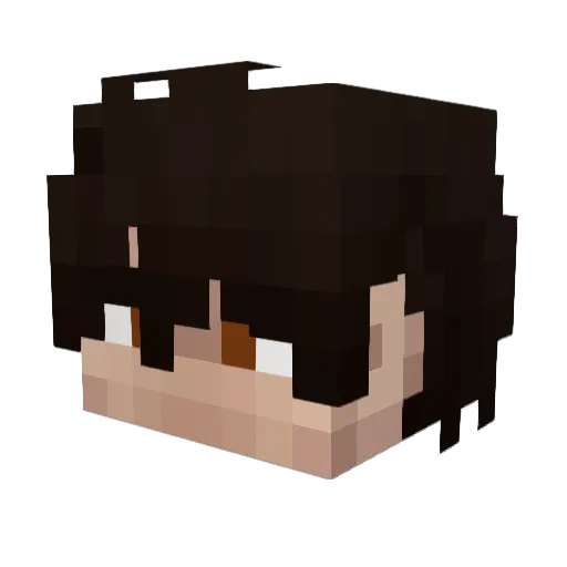 grawell Minecraft avatar head, 3D render