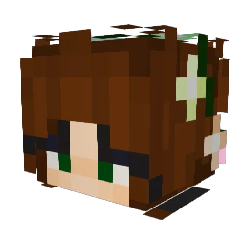 gray8_ Minecraft avatar head, 3D render