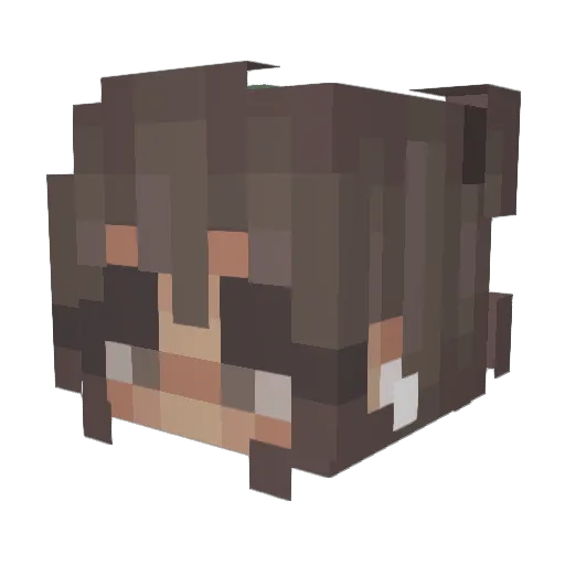 grayaca Minecraft avatar head, 3D render