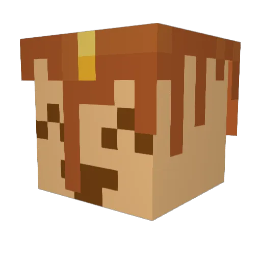 grayandblack Minecraft avatar head, 3D render