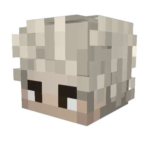 grayback500 Minecraft avatar head, 3D render
