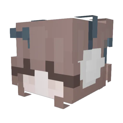 graycatmeow Minecraft avatar head, 3D render