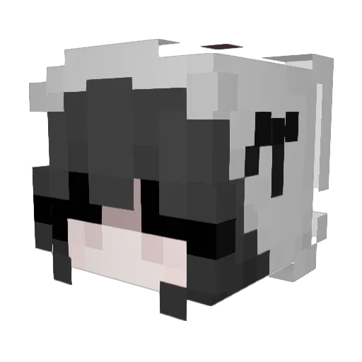 graycc Minecraft avatar head, 3D render