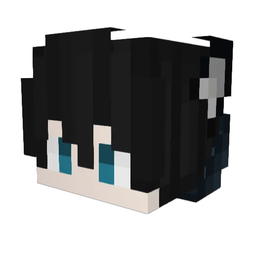 graycoat2004 Minecraft avatar head, 3D render