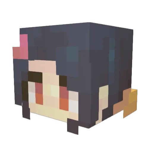 graydog6969 Minecraft avatar head, 3D render