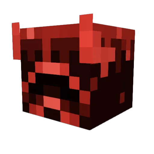 grayfox888 Minecraft avatar head, 3D render