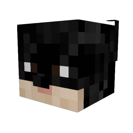 grayhowle Minecraft avatar head, 3D render