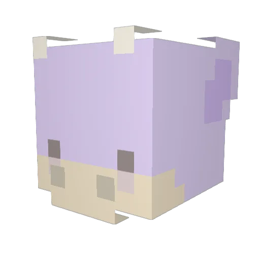 grays_onatomy Minecraft avatar head, 3D render