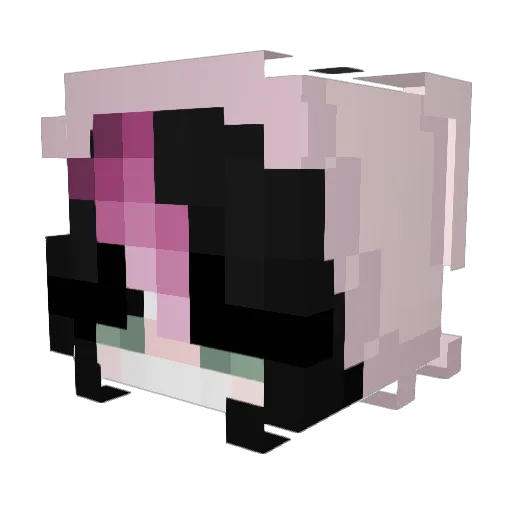 grayslmao Minecraft avatar head, 3D render
