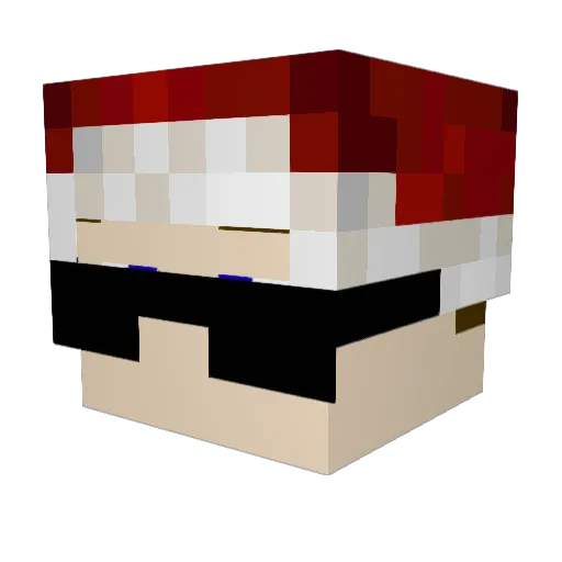 graysonlikepizza Minecraft avatar head, 3D render
