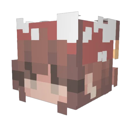 grayuhhh Minecraft avatar head, 3D render