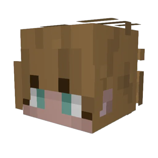 graywolf2064 Minecraft avatar head, 3D render