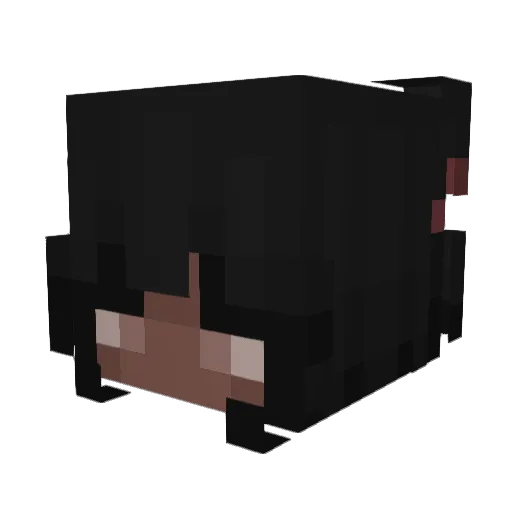 greenbee777 Minecraft avatar head, 3D render