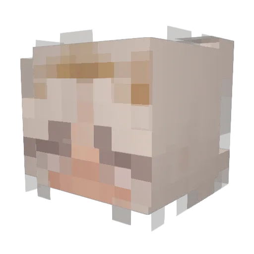greenbriar14 Minecraft avatar head, 3D render