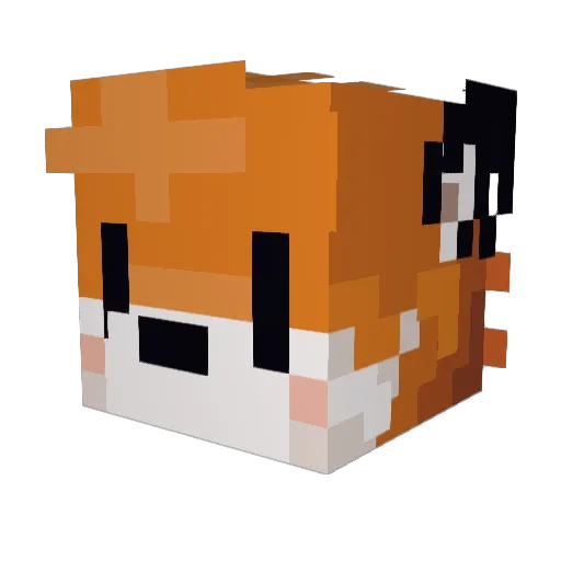 greencat1814 Minecraft avatar head, 3D render