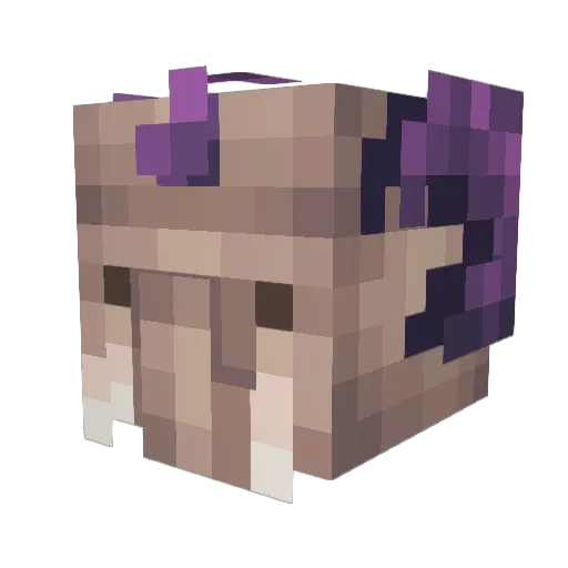 greenhawk24 Minecraft avatar head, 3D render