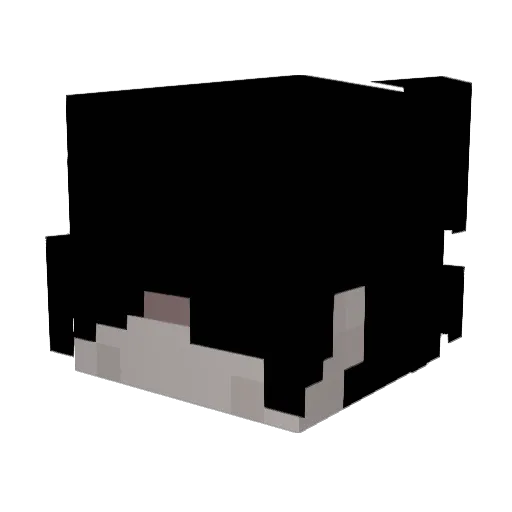 gregbopper Minecraft avatar head, 3D render