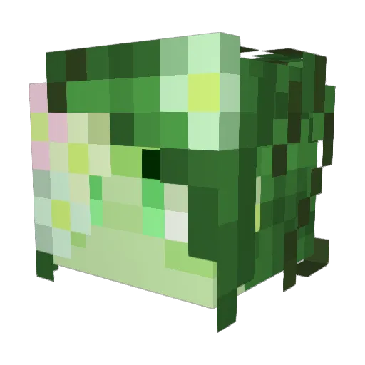 grendelswampmama Minecraft avatar head, 3D render