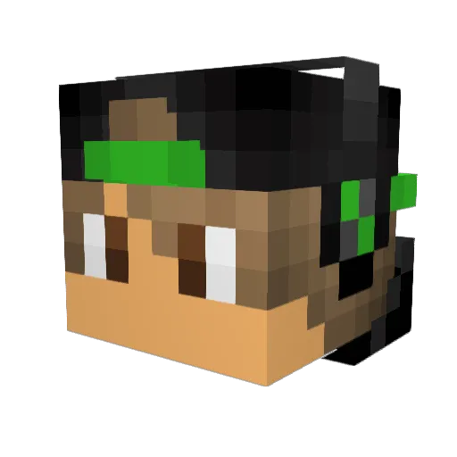 greninja05 Minecraft avatar head, 3D render