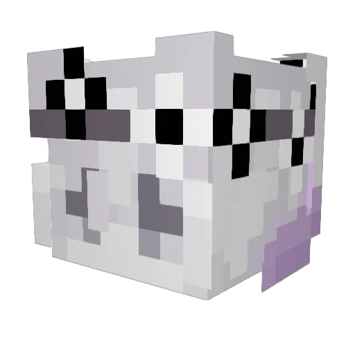 greninja4284 Minecraft avatar head, 3D render