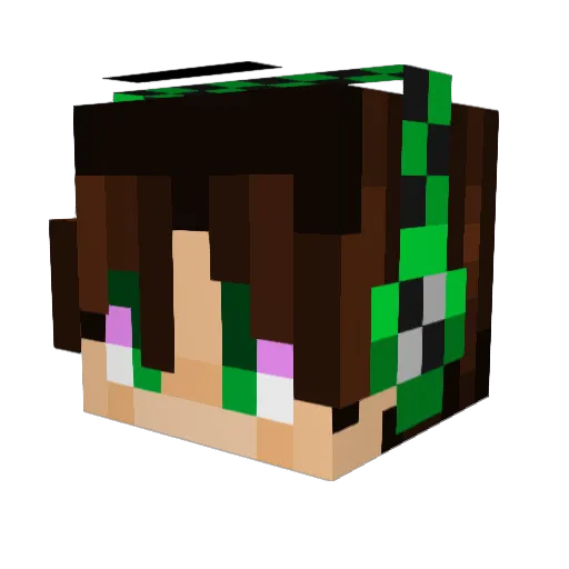 grenowicz Minecraft avatar head, 3D render