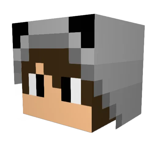 greyknight7655 Minecraft avatar head, 3D render