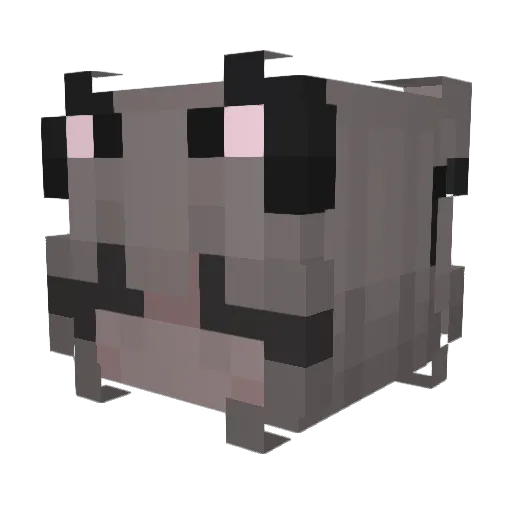 greyotter2444 Minecraft avatar head, 3D render