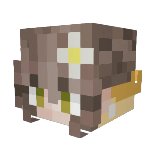 grickitygrackity Minecraft avatar head, 3D render