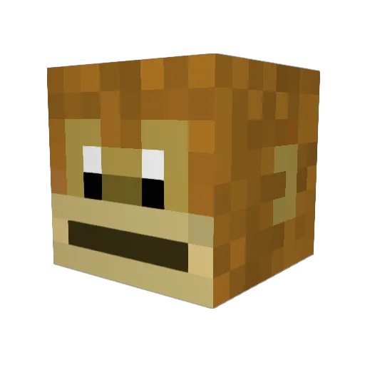 griffinisgod69 Minecraft avatar head, 3D render