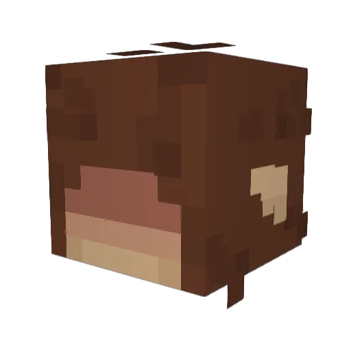 griffycatatwar Minecraft avatar head, 3D render