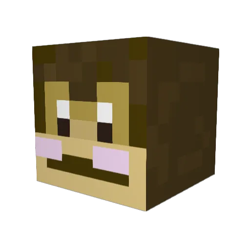 grimmydimmyzz Minecraft avatar head, 3D render