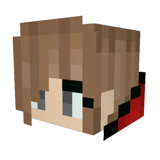grinderbear Minecraft avatar head, 3D render