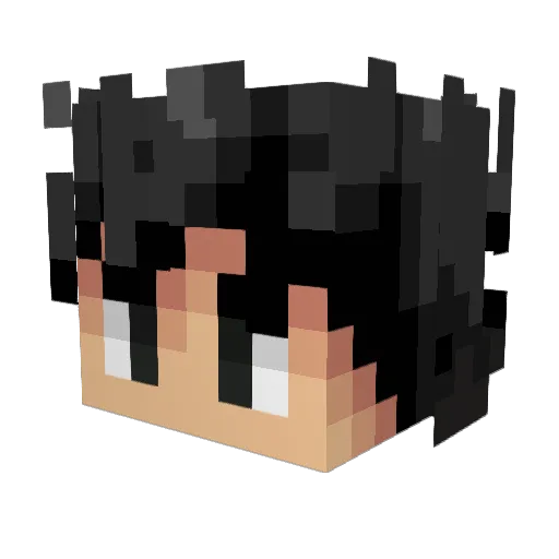 gringoaltoo Minecraft avatar head, 3D render